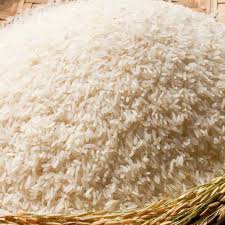 Gạo